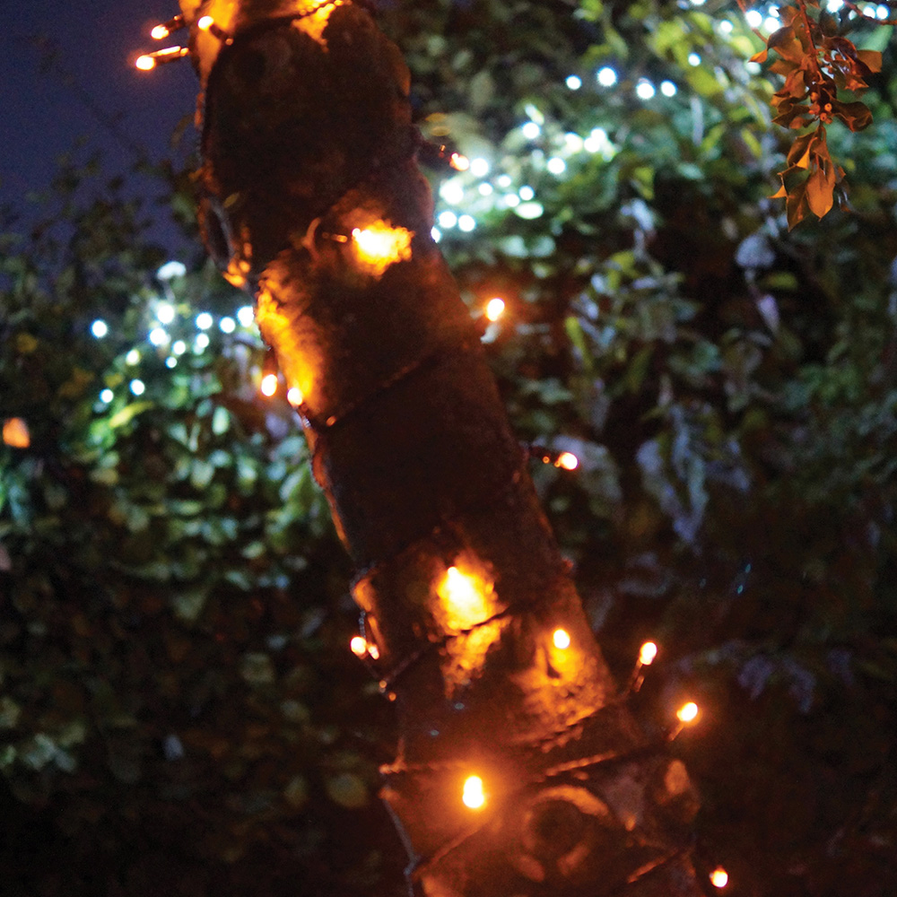 Eagle Connect Gold LED Black String Light 65m Image 3