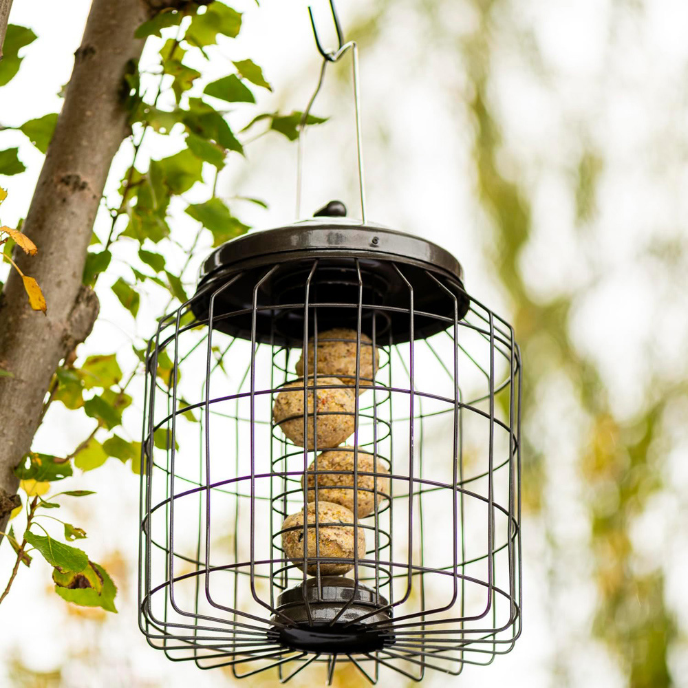 Thompson and Morgan Happy Beaks Premium Squirrel Proof Fat Ball Feeder Image 5