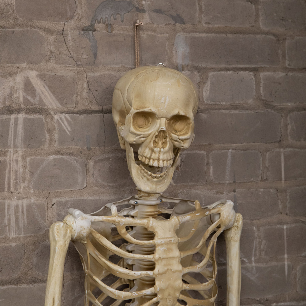 Samuel Alexander Posable Full Body Skeleton Halloween Decoration 5ft Image 5