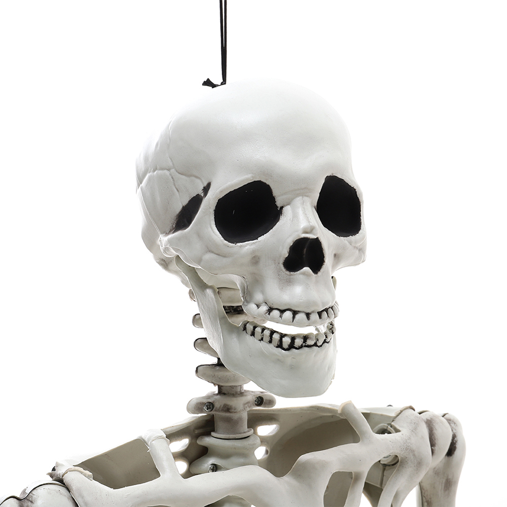Living and Home Halloween Realistic Full Body Skeleton 160cm Image 7