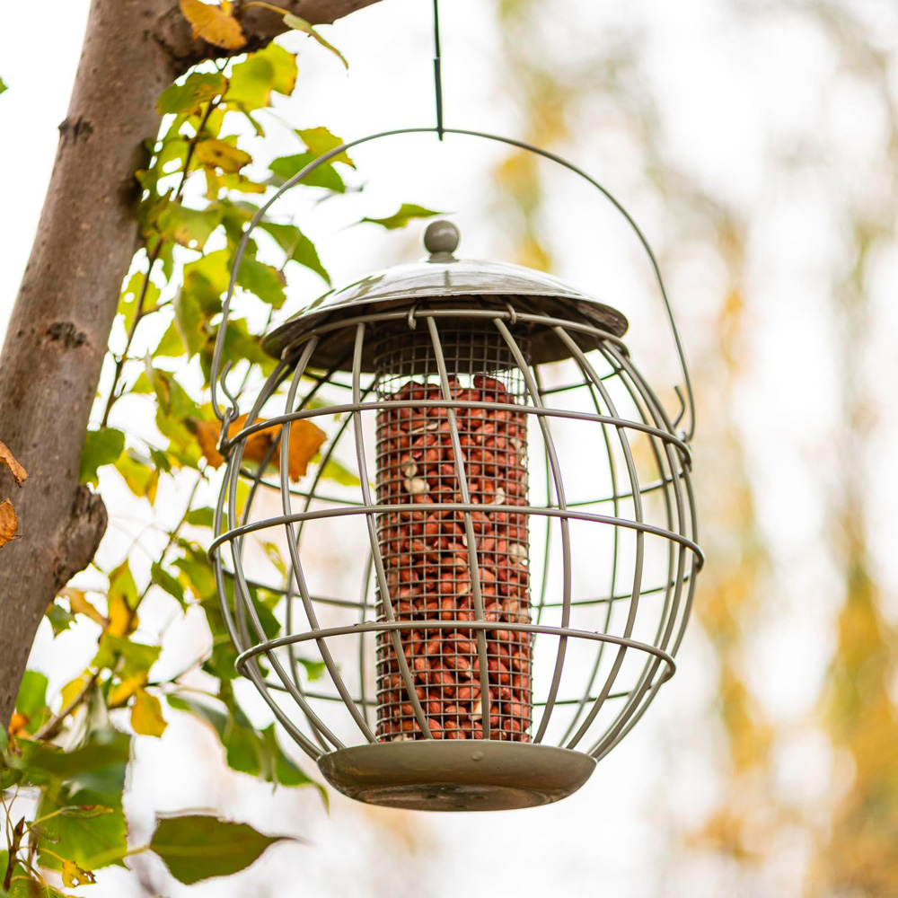 Thompson and Morgan Happy Beaks Orbital Squirrel Proof Peanut Feeder Image 3