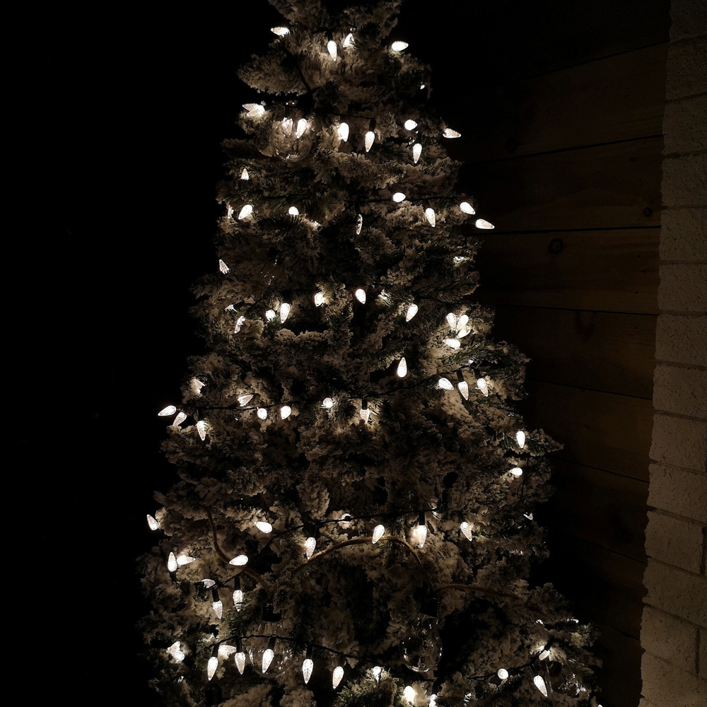 Samuel Alexander 300 Warm White LED Green Cable Pinecone String Light 15m Image 4