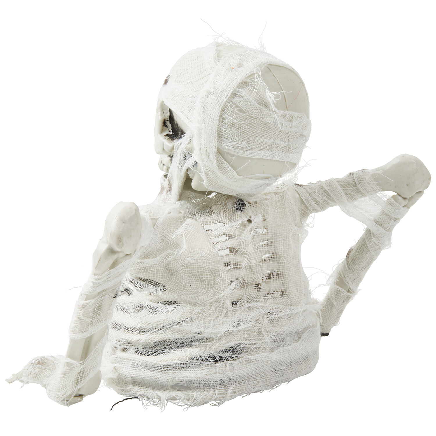 Skeleton Mummy White Image 4