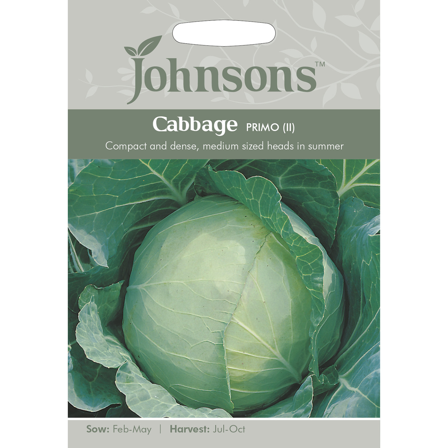 Johnsons Primo 2 Cabbage Seeds Image 2