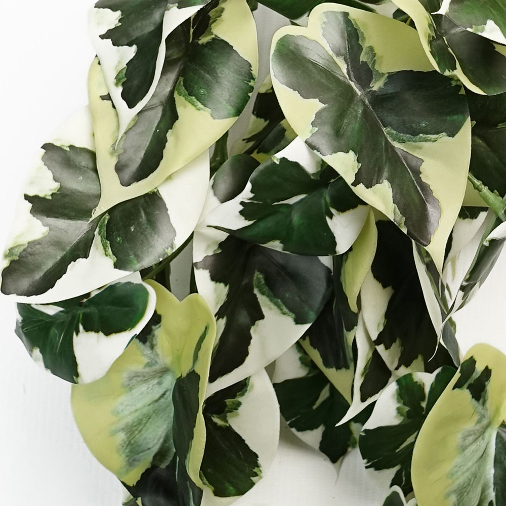 Leaf Trailing Variegated Marble Pothos Artificial Plant 40cm Image 3