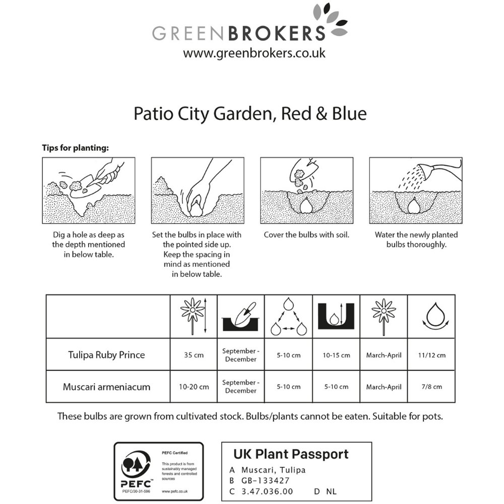 GreenBrokers Red and Blue Balcony and Patio Mixed Planter Bulb 40 Pack Image 3