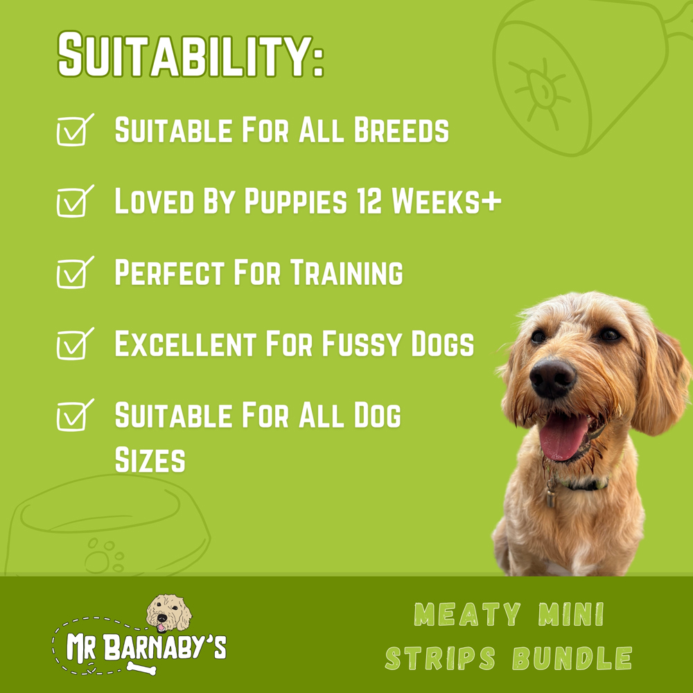 Mr Barnaby's Meaty Mini Strips Dog Treats Bundle 4 Pack Image 5