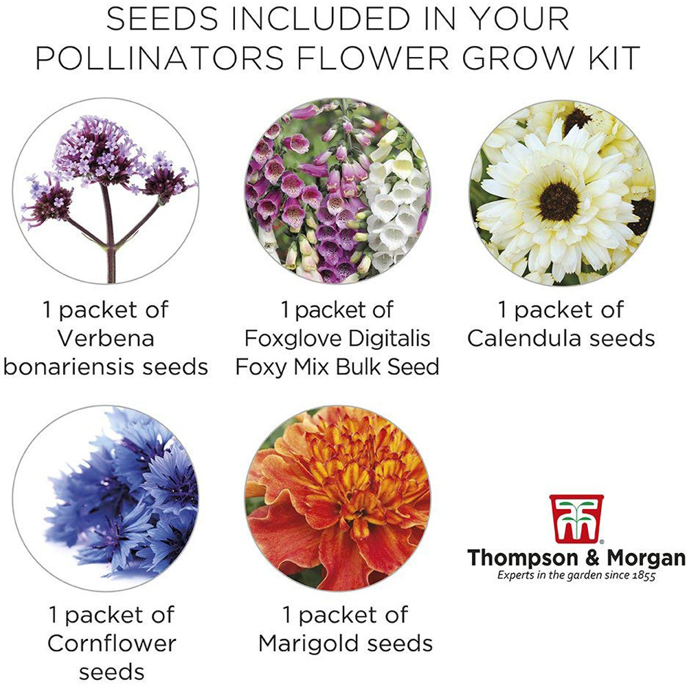 Thompson & Morgan Pollinators Flower Growing Kit Image 3