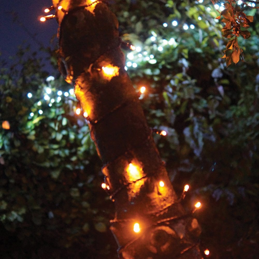 Eagle Connect Gold LED Black String Light 60m Image 3