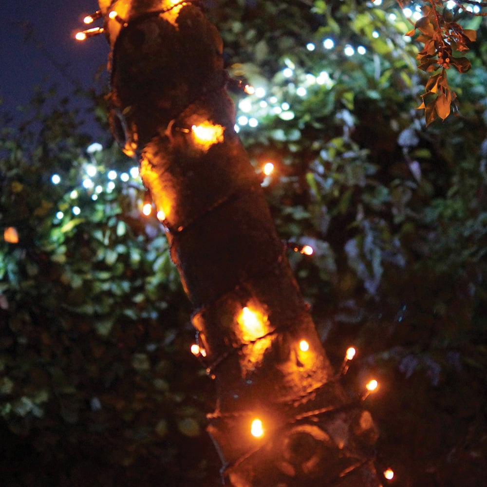 Eagle Connect Gold LED Black String Light 25m Image 3