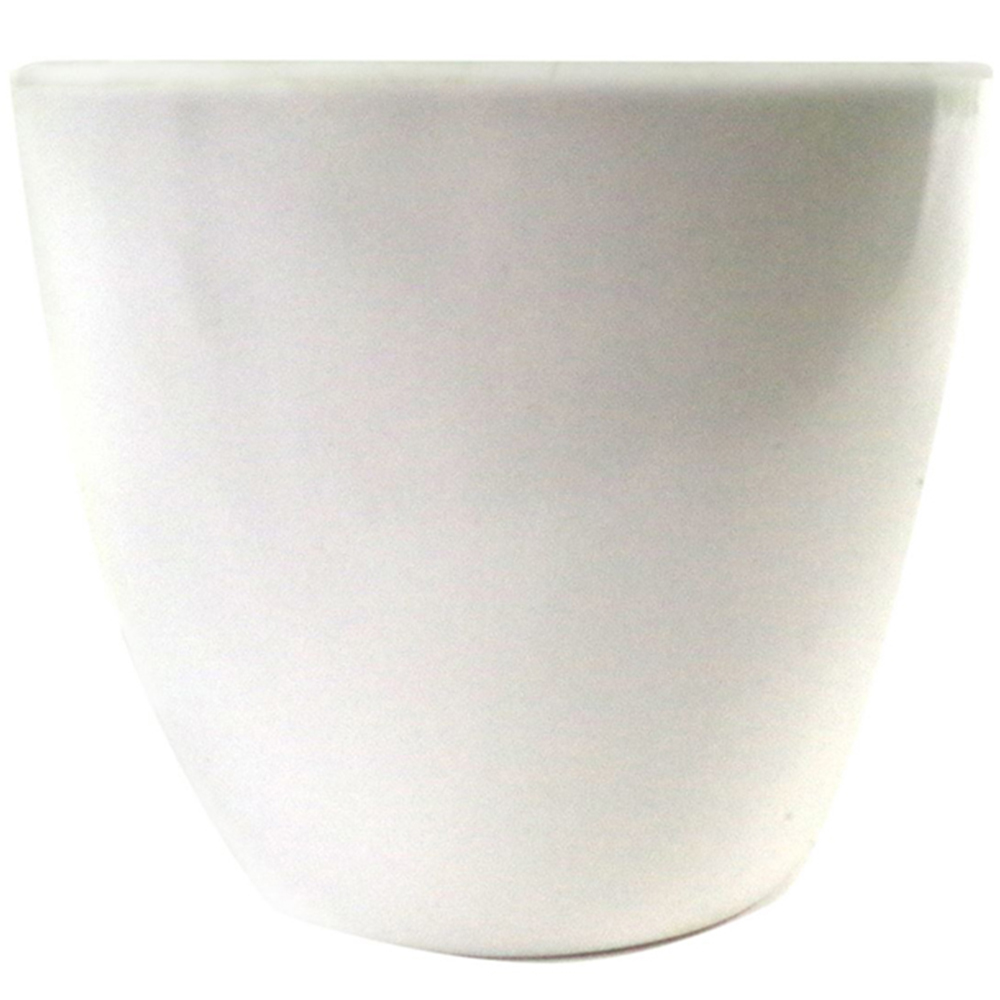Botanik Royal Fern Artificial Tree in Pot 30cm Image 2