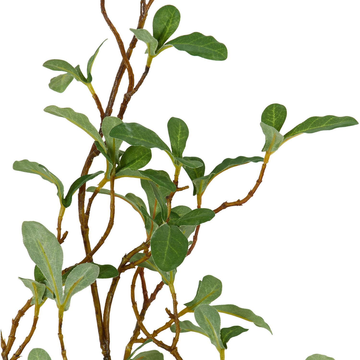 Leaves Spray - Green Image 3