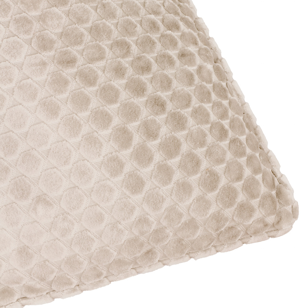 Paoletti Neptune Champagne Velvet Cushion 50 x 50cm Image 4