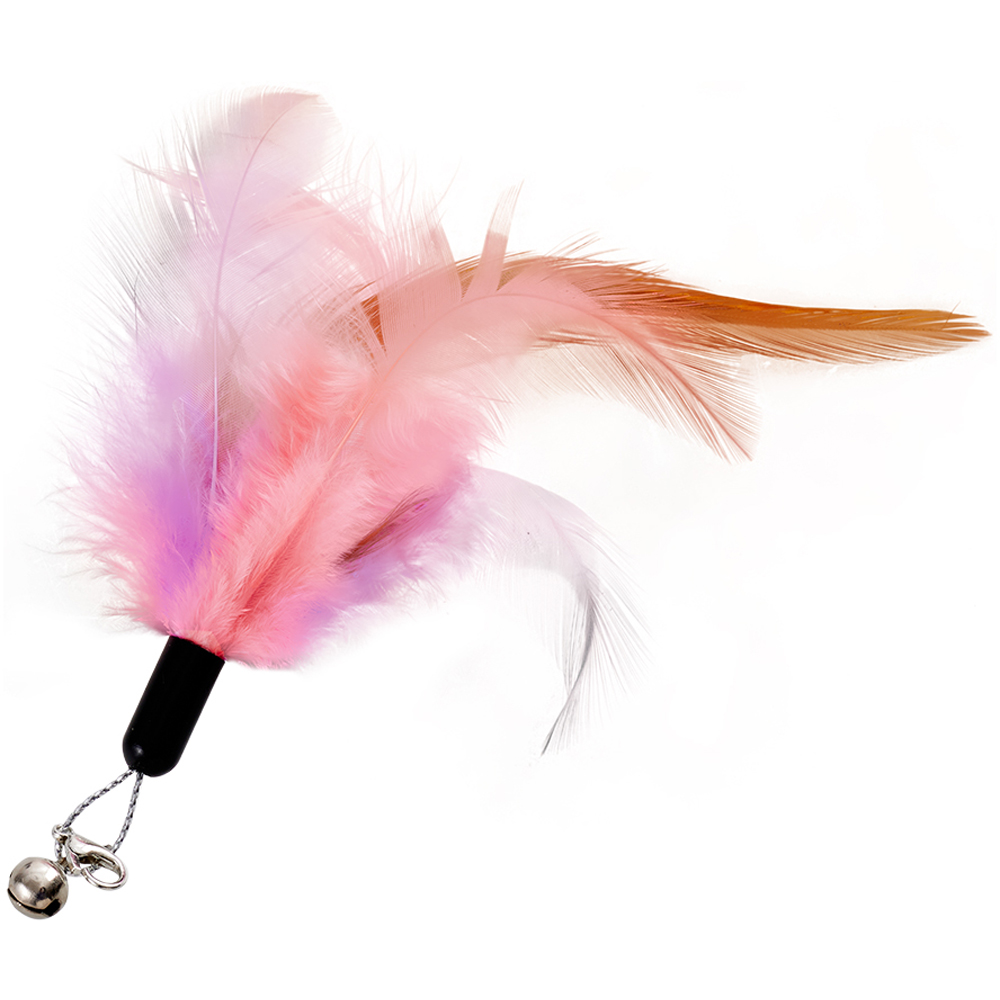 H&O Direct Rechargeable Interactive Dual Laser Cat Teaser Toy Image 4