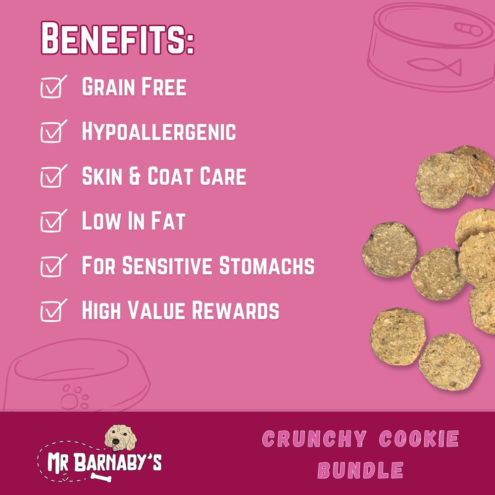Mr Barnaby's Crunchy Cookie Dog Treats Bundle 4 Pack Image 4