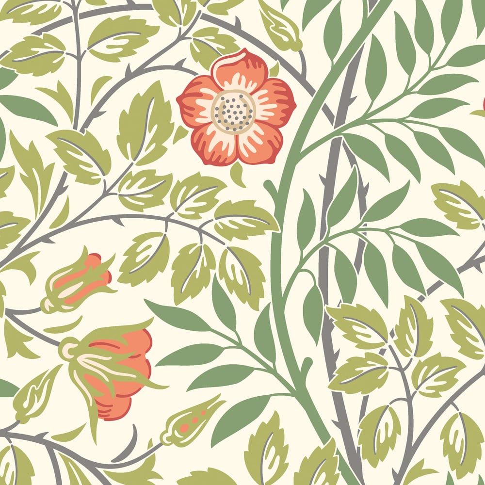 Hoopla Walls Rosehip Trail Coral Pink Non Woven Wallpaper Image 1