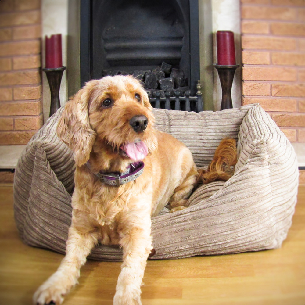Snug & Cosy San Remo Small Brown Chunky Cord Dog Bed Image 2