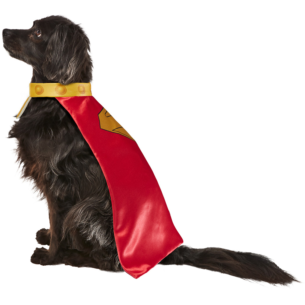 Superman Krypto Pet Cape and Collar Dog Costume Set XL Image 4