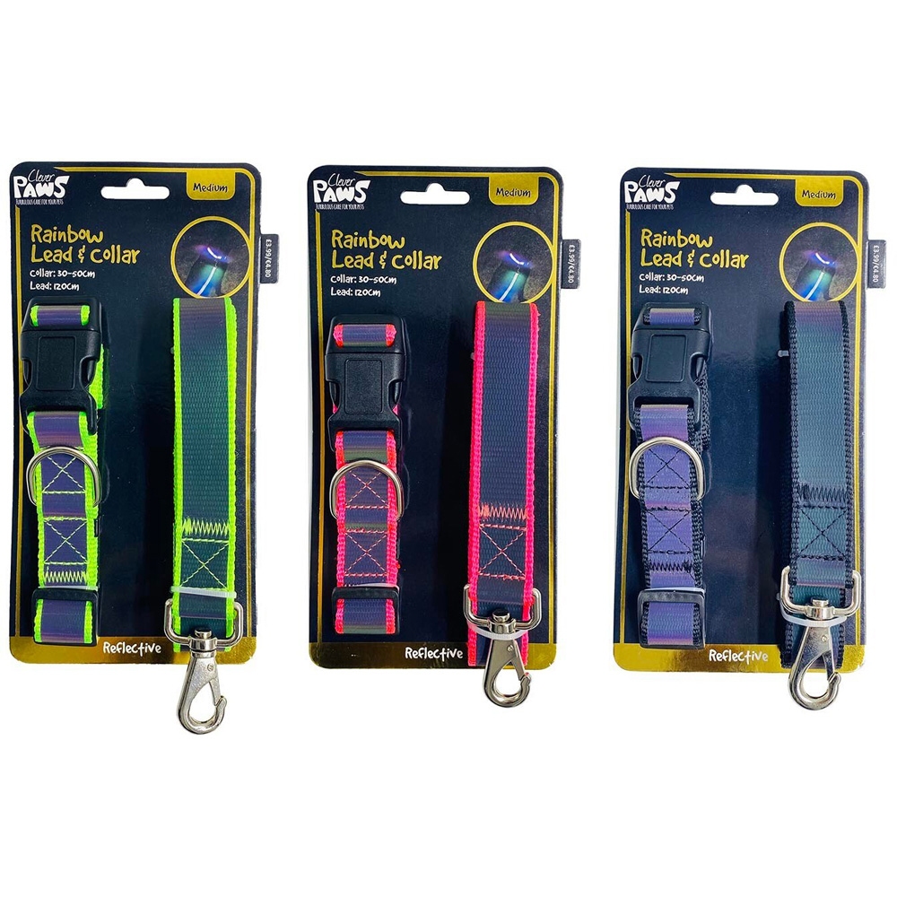 Rainbow Reflective Lead and Dog Collar - 30 - 50cm Neck Image