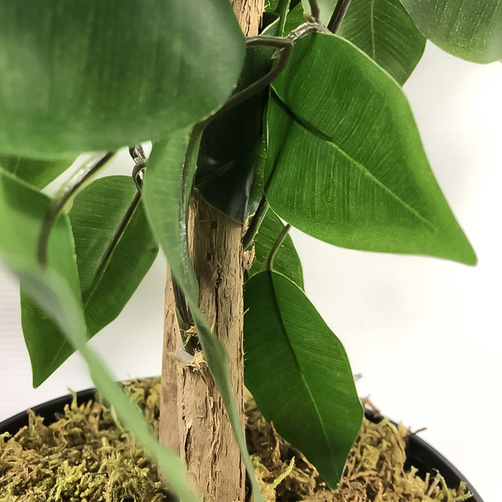 Botanik Green Extra Large Bushy Ficus Artificial Tree in Pot 4ft Image 3