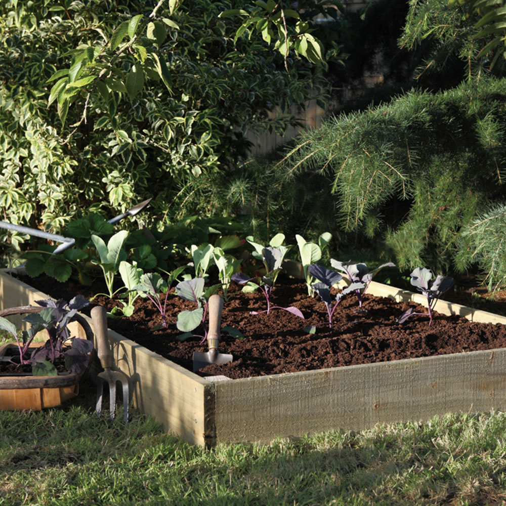 Forest Garden Standard Raised Planter Bed 3 x 6ft Image 4