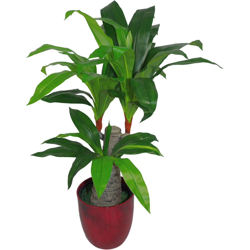 Leaf Tropical Dracaena Artificial Plant Pot 75cm Image 1