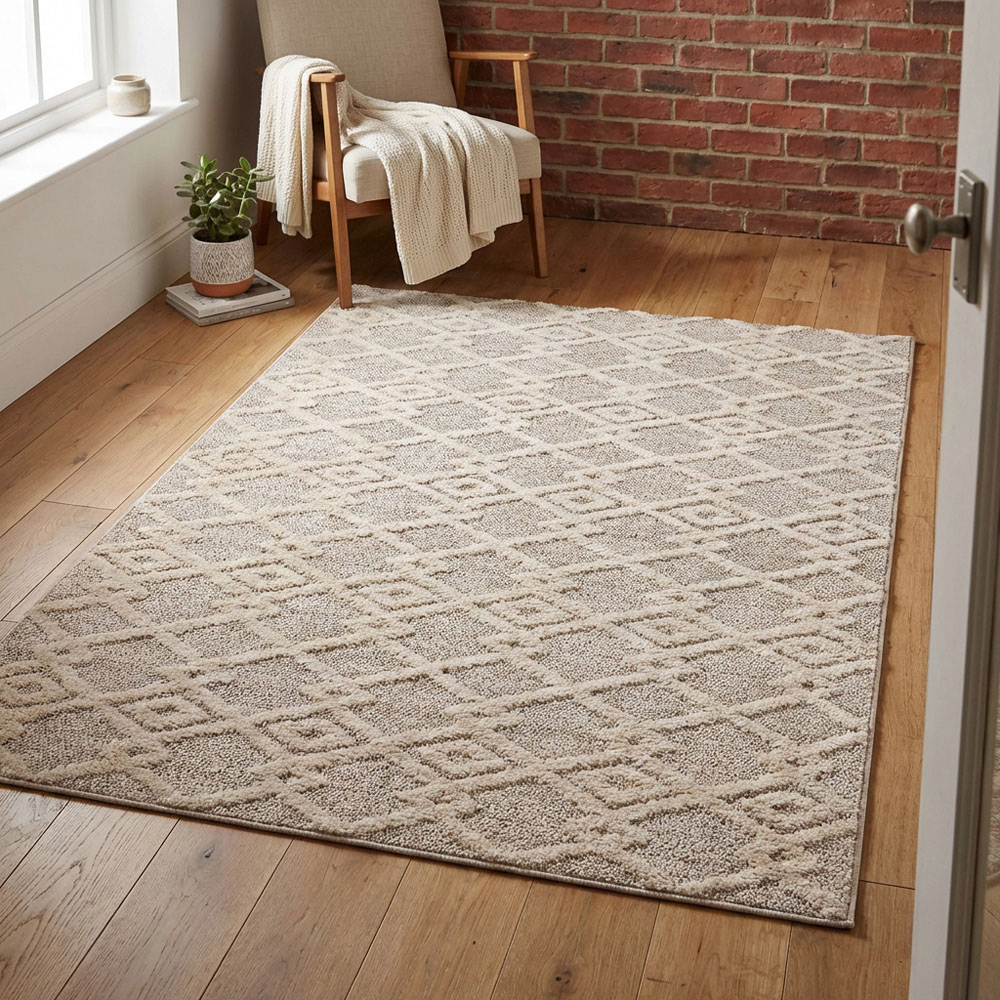 Apollo Geometric Patterned Rug  - Neutral / 120cm Image 6
