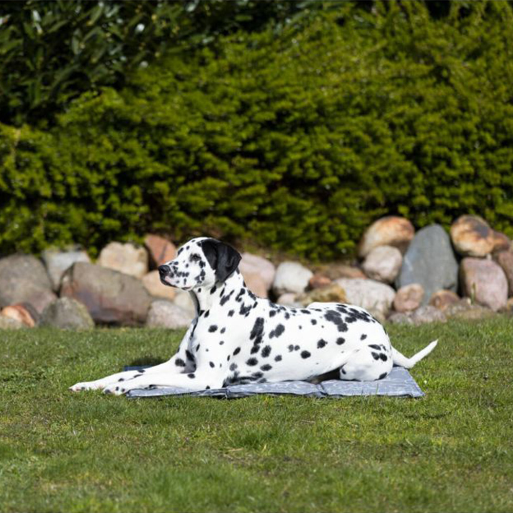 Trixie Large Grey Soft Cooling Mat Image 6