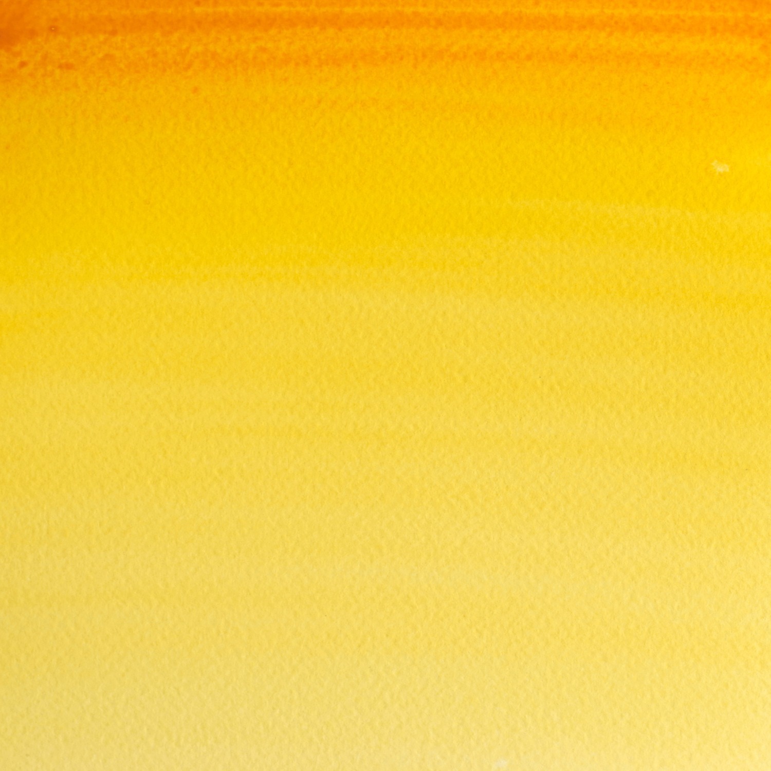 Winsor & Newton Professional Gamboge Watercolour Paint 5ml Image 2