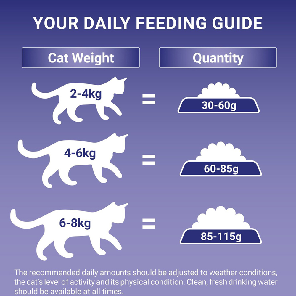 Purina ONE Salmon and Wholegrain Adult Dry Cat Food 3kg Image 6