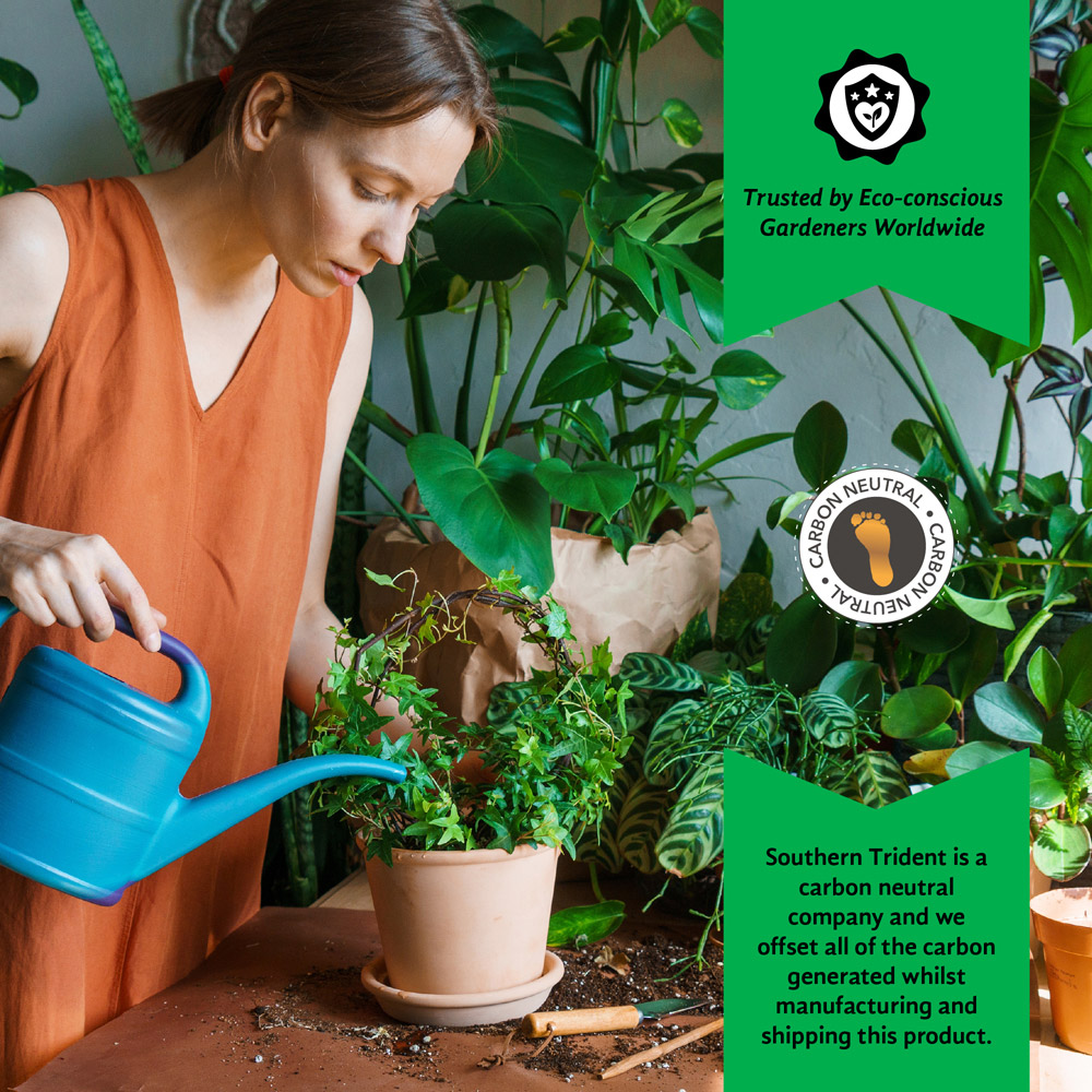 Coco & Coir Little Big Compost Houseplant Compost 9L Image 6