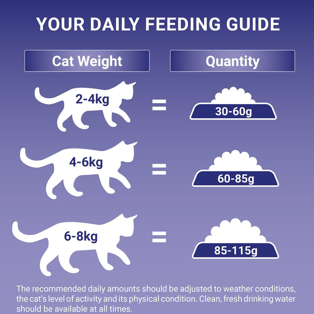 Purina ONE Chicken and Wholegrains Adult Dry Cat Food 3kg Image 6