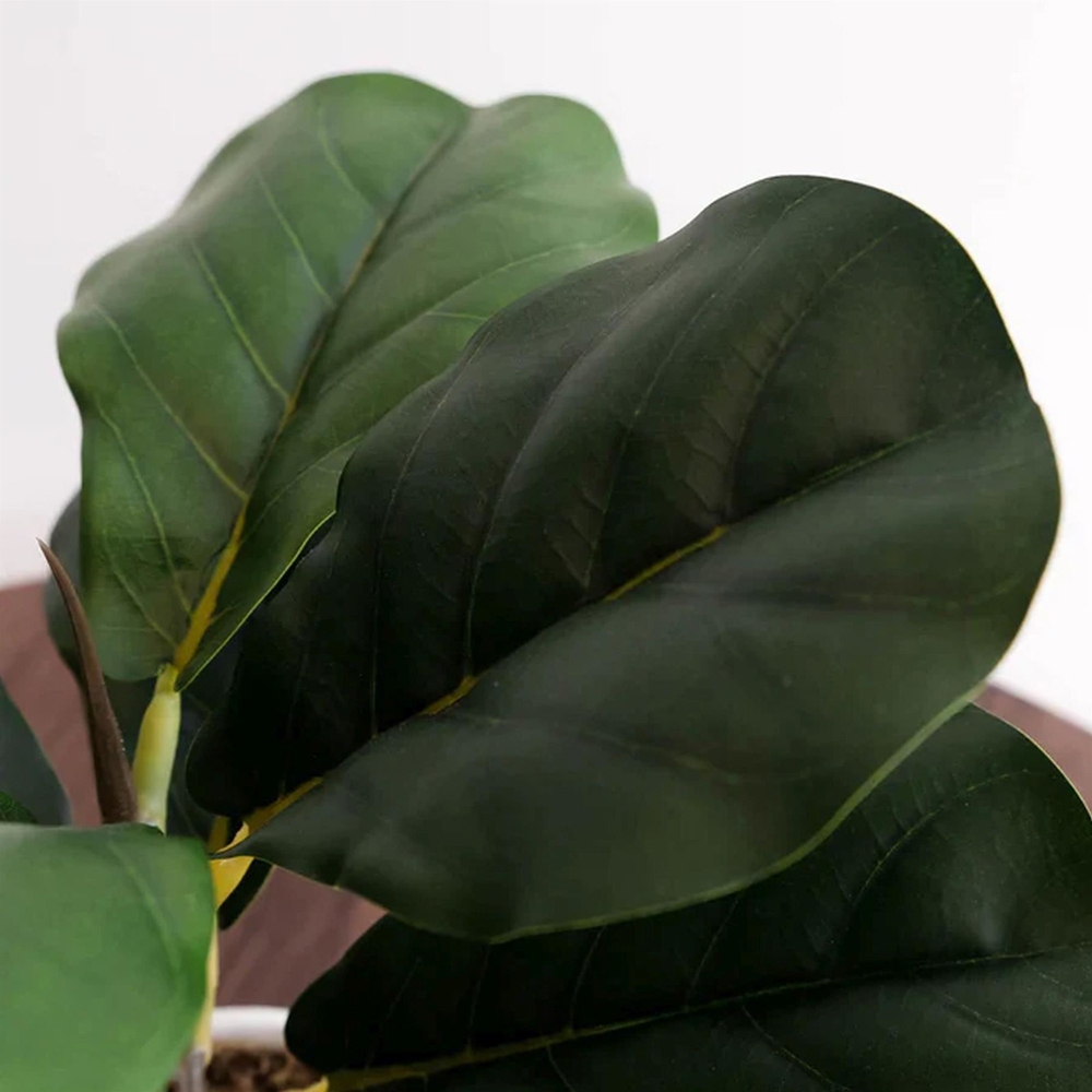 Leaf Fiddle Fig Artificial Plant in Pot 38cm 6 Pack Image 4