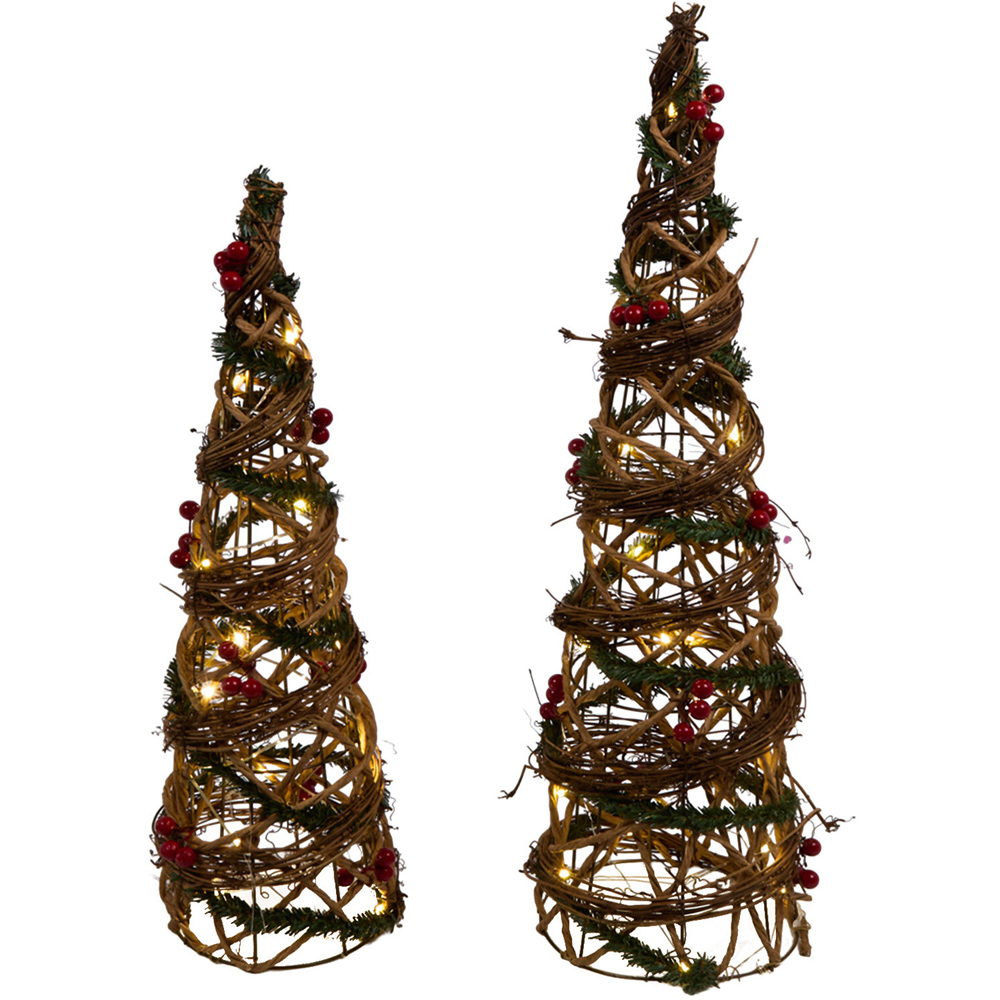 Set of 2 LED Floristry Cones Image 5
