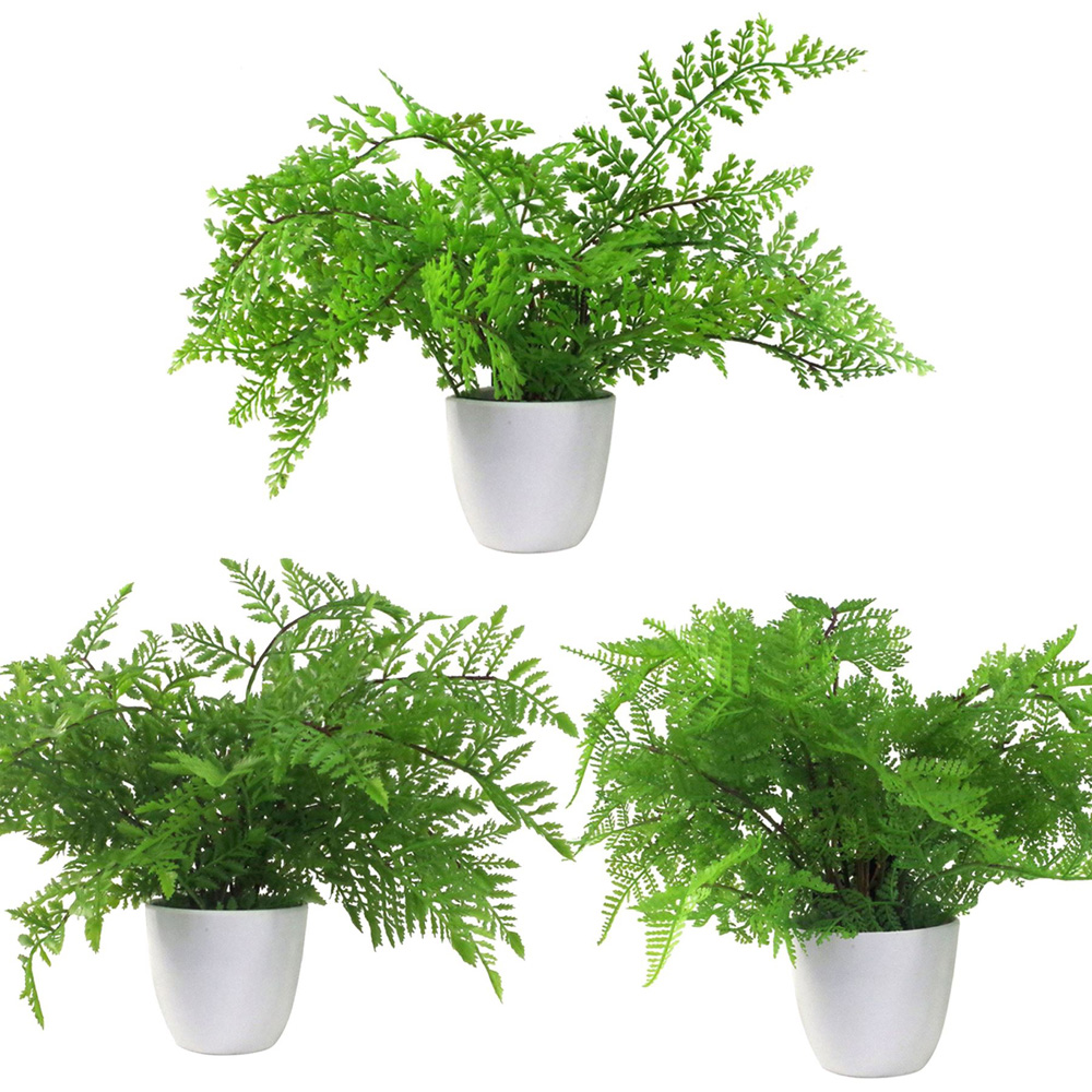 Leaf Fern Artificial Plant in Pot 30cm 3 Pack Image 1