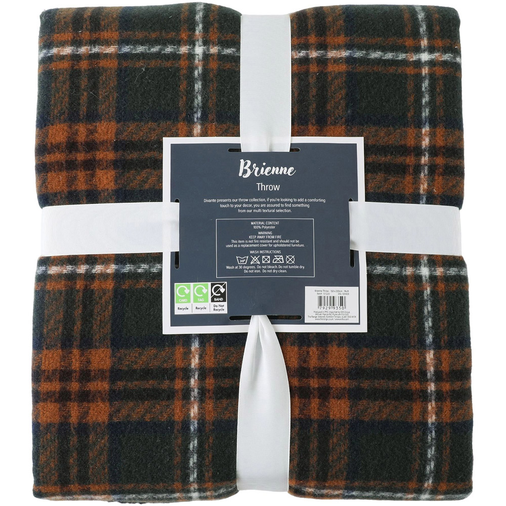 Brienne Tartan Check Throw Image 2