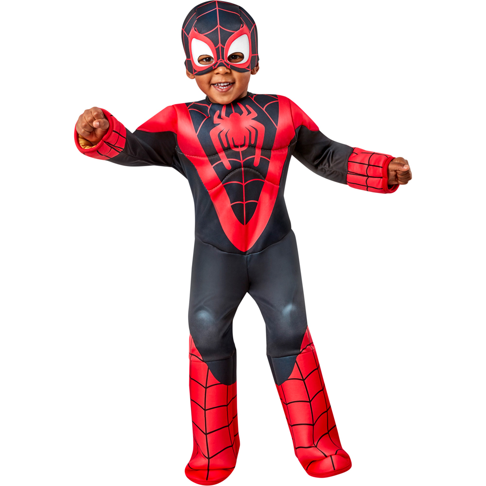 Marvel Deluxe Spinn Costume Age 2 to 3 Years Image 5