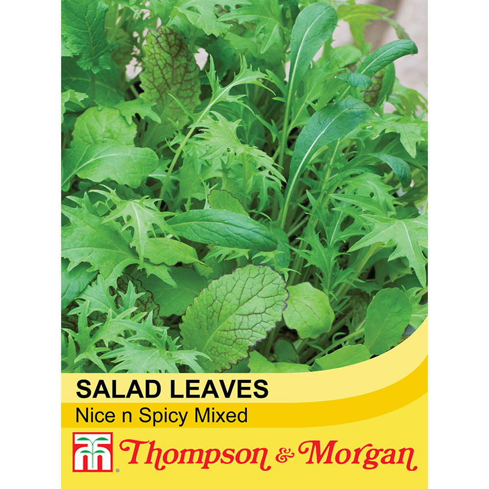 Thompson & Morgan Salad Leaves Nice and Spicy Mixed 250 Seeds Packet Image 2
