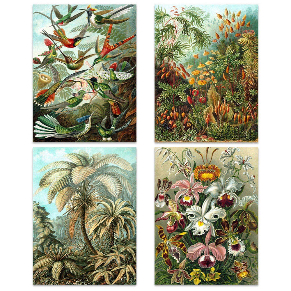 Artery8 Vintage Ernst Haeckel Flora and Fauna Wall Art Print 30 x 41cm 4 Pack Image 1