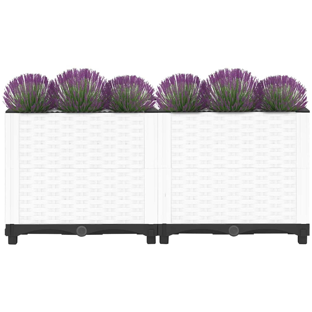 vidaXL White Plastic Rattan Raised Garden Bed 38 x 80 x 40cm Image 3