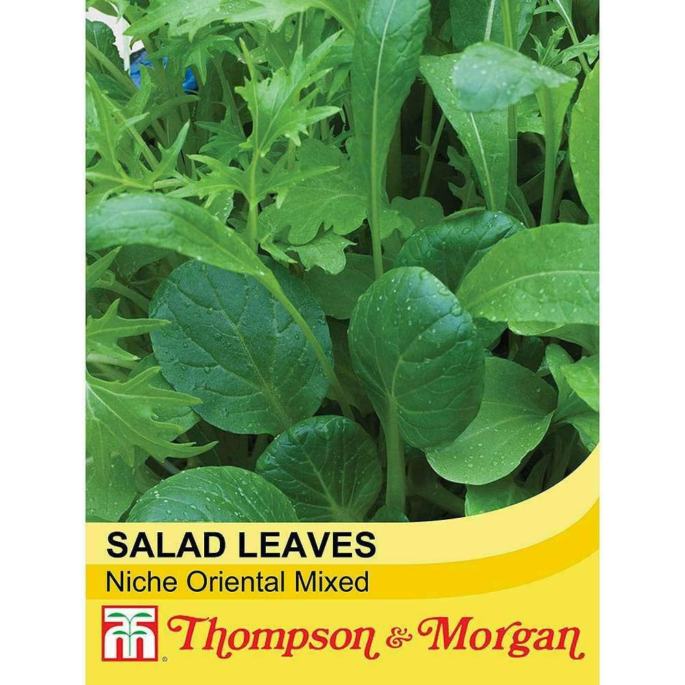 Thompson & Morgan Salad Leaves Niche Oriental Mixed 500 Seeds Packet Image 2