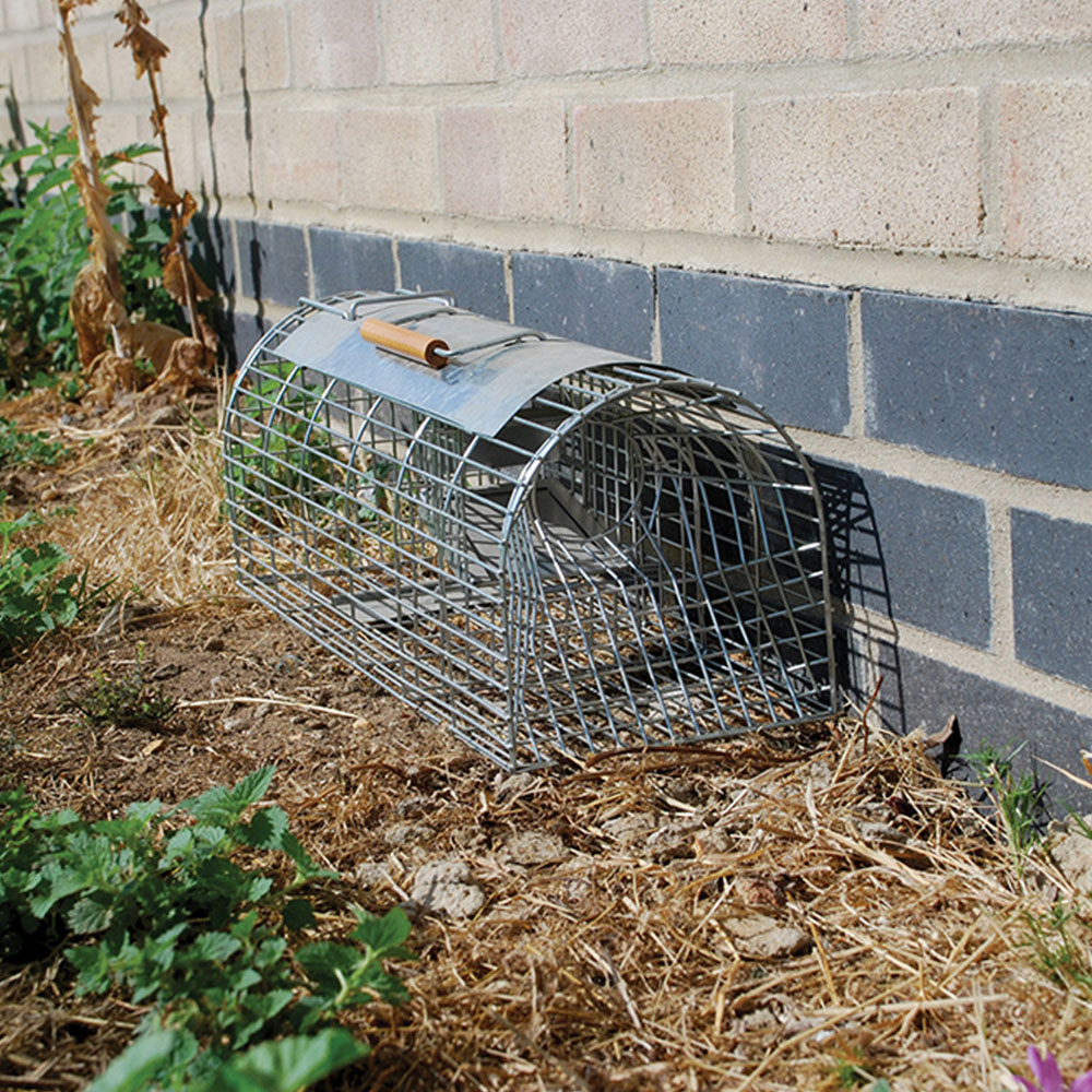 The Big Cheese Ultra Power Multi Catch Rat Trap Image 2