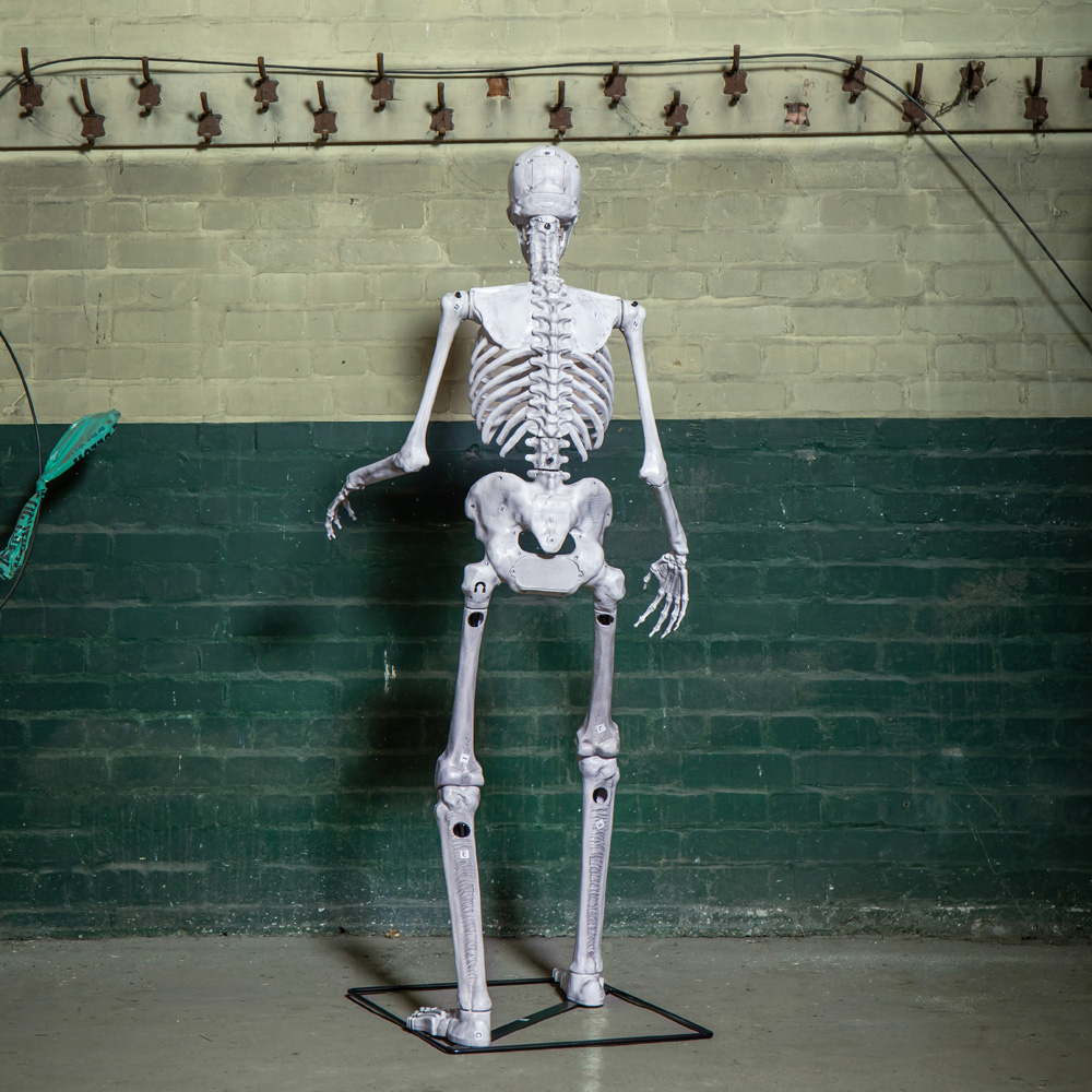 Samuel Alexander Red LED Full Body Standing Skeleton Halloween Decoration 5ft Image 8