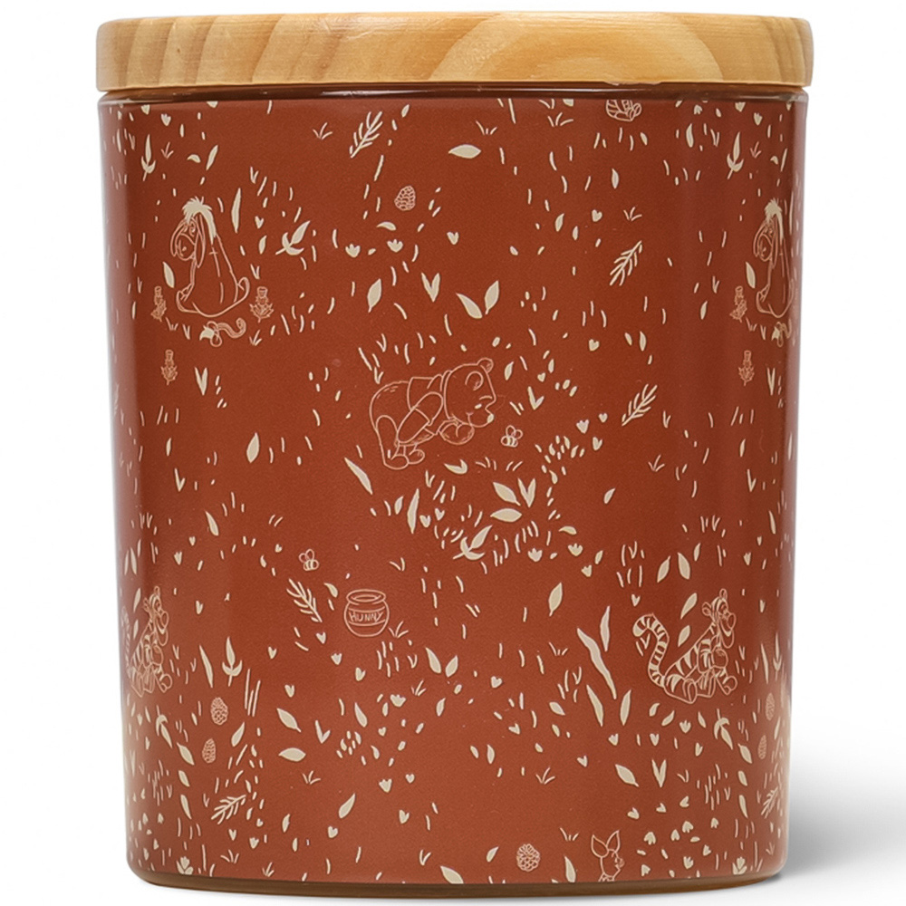 Disney Winnie The Pooh Popcorn and Malt Barley Scented Candle 213g Image 3