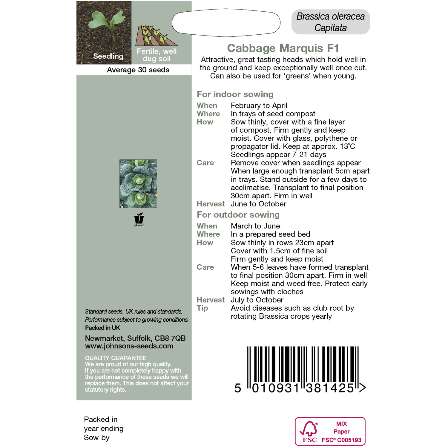 Johnsons Cabbage Marquis F1 Vegetable Seeds Image 3