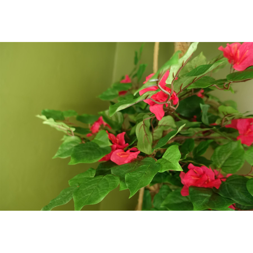 Leaf Pink Flowers Japanese Silk Bougainvillaea Artificial Tree in Pot 5ft Image 4