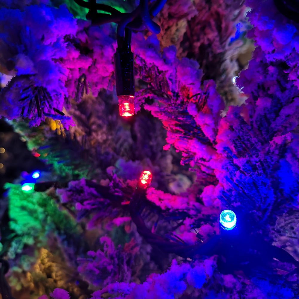 Premier 100 Multicolour LED Static Black Cable String Light 8m Image 5