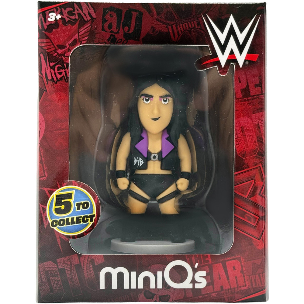 WWE Mini Figures Image 4