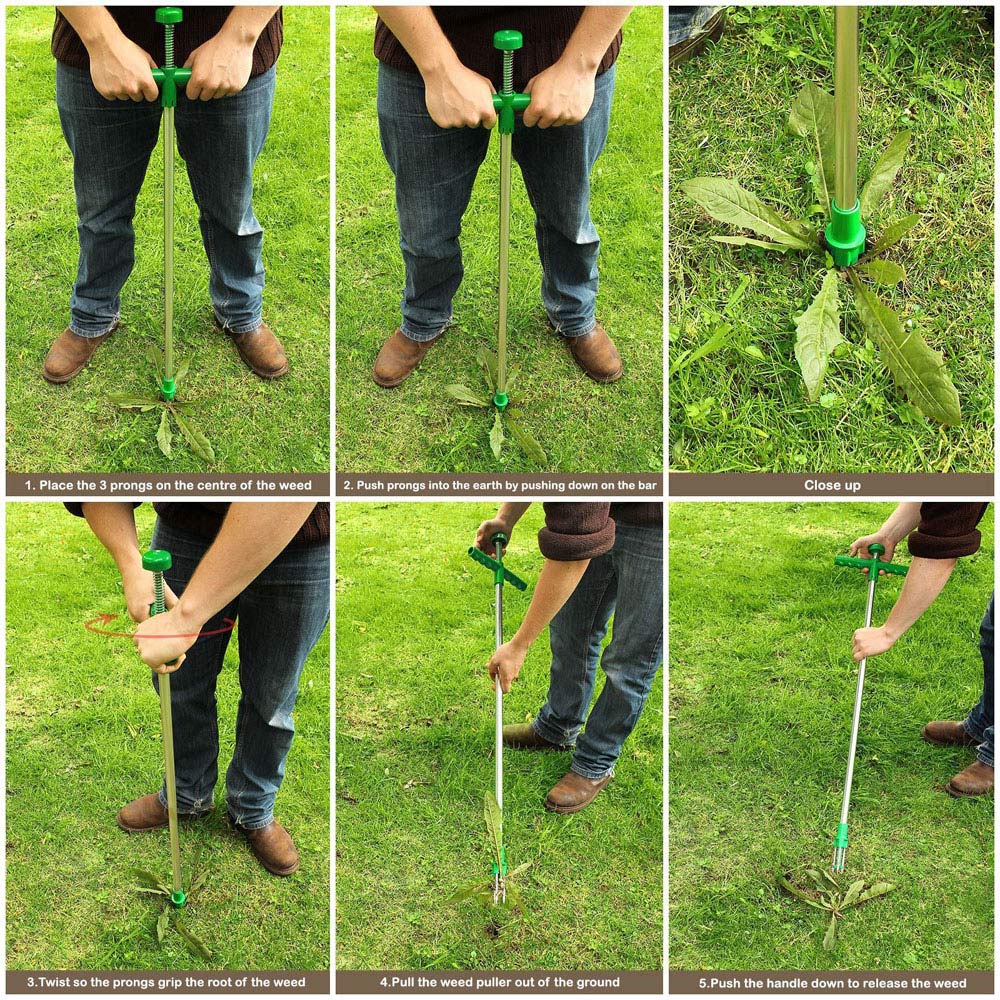 Weed clearance puller wilko