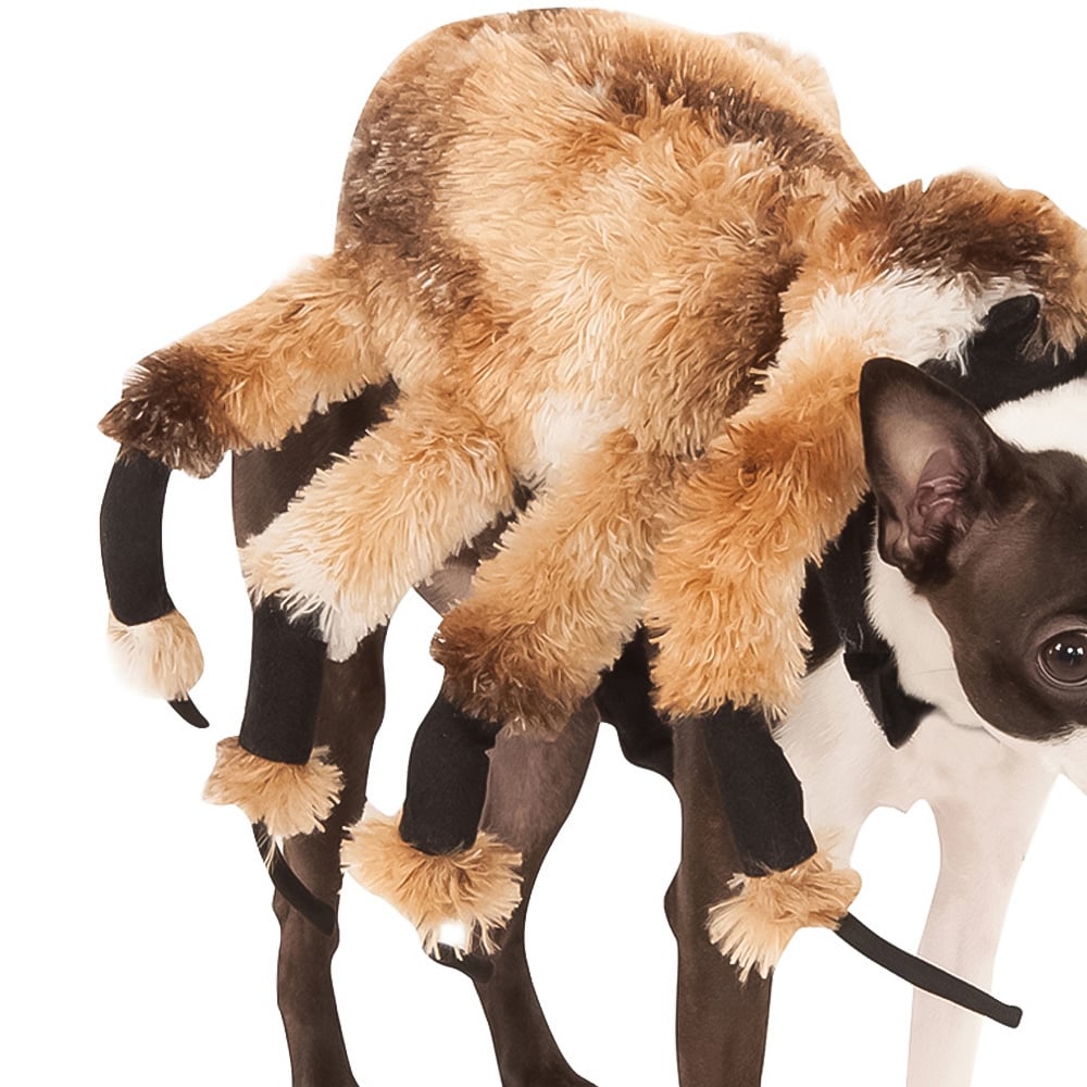 Rubies Masquerade Giant Spider Dog Costume XL Image 2